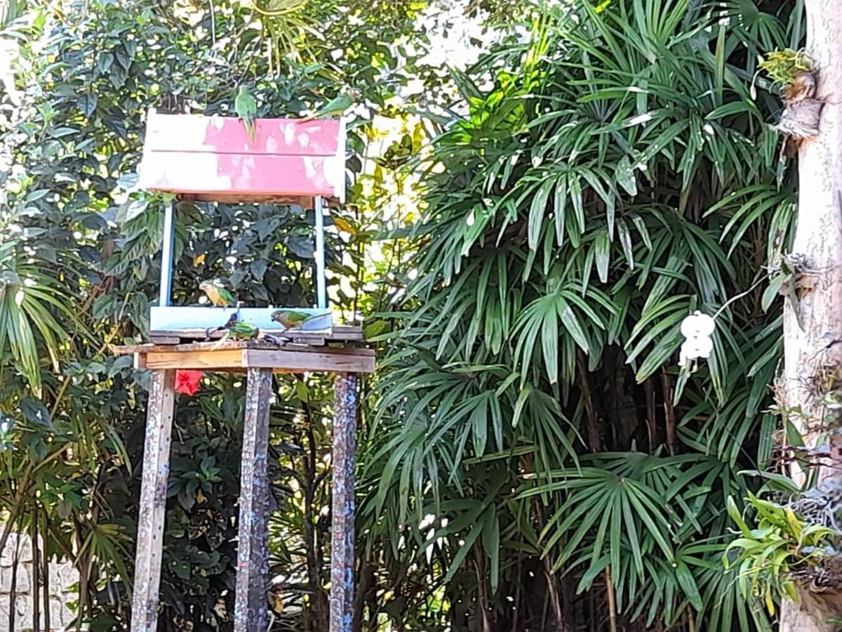Familia Silvia Perico Villa Ilhabela Eksteriør billede